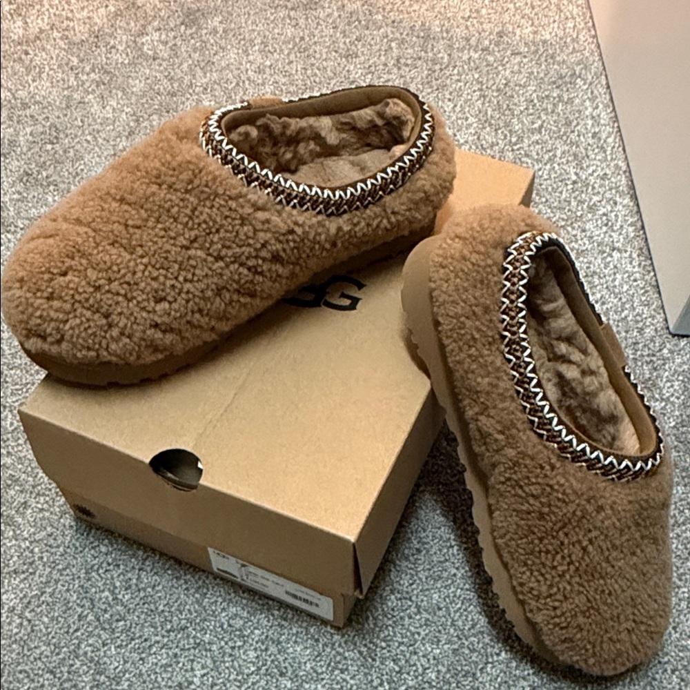 Chestnut Tasman Maxi Curly